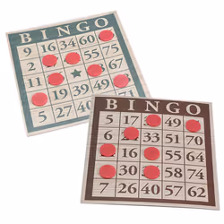 Traditional Bingo Game
