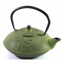 Buckingham Teapot Dragonfly Design Tetsubin Japanese Style with Stainless Steel Mesh Infuser Cast Iron Light Green 800 ml