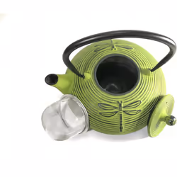 Buckingham Teapot Dragonfly Design Tetsubin Japanese Style with Stainless Steel Mesh Infuser Cast Iron Light Green 800 ml