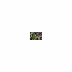 DeWALT DCMPP568N-XJ pruning shears - Additional view 4