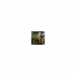 DeWALT DCMPP568N-XJ pruning shears - Additional view 5