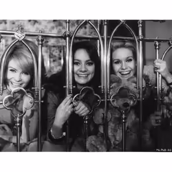 BFI The Pleasure Girls DVD English