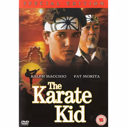 The Karate Kid [2005] (DVD)