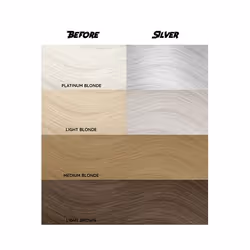 CRAZY COLOR Silver 100 ml
