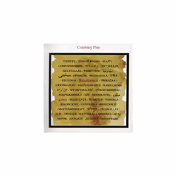Freakulizer  The Awakening Process CD