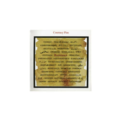Freakulizer  The Awakening Process CD