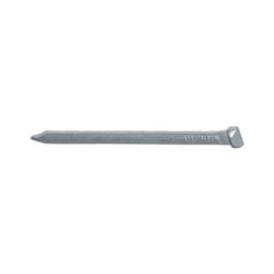 30MM Oval Brad Nails (500GM)