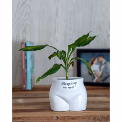 Boxer Gifts Always Keep Me Moist Put Some Plants On Plant Pot