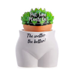 Put Some Plants On - The Wetter, The Better Planter