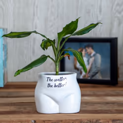 Put Some Plants On - The Wetter, The Better Planter