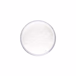 Stargazer White Loose Powder