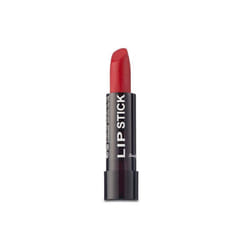 Stargazer Matte Lipstick No. 205