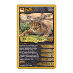 Awesome Animals Top Trumps (Second Edition)