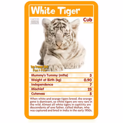 Top Trumps Baby Animals Card Game