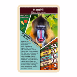 African Wildlife Top Trumps Card Game