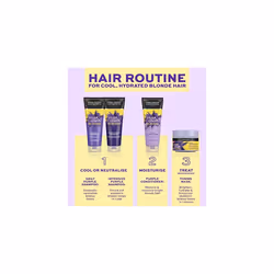 Violet Crush for Blondes Toning Conditioner for Blonde Hair, Purple Conditioner for Blondes Value Pack 500 ml