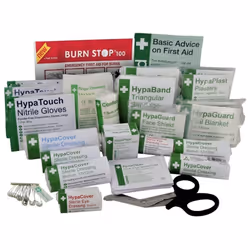 Safety First Aid Group Economy First Aid Kit BS 8599 Compliant, Large Fully Stocked