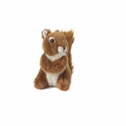 Keycraft Living Nature Squirrel Medium, Toy squirrel, 0 yr(s)