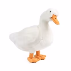 Keycraft AN381, Toy bird, 0 yr(s)