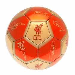 Liverpool FC Signature Skill Ball