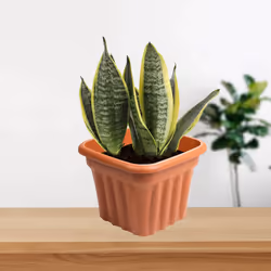40cm Square Planter Plastic Lightweight Flower Plant Pot Terracotta Garden Tub