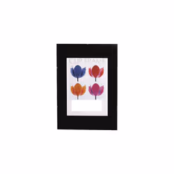 The Photo Album CF4259NG Company 42 x 59 cm A2 Clip Frame