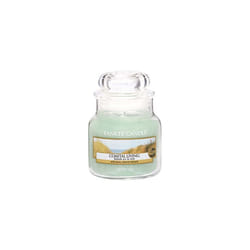 Yankee Candle Coastal living Small Jar Candle, Green
