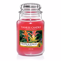 Yankee Candle S1750941, Round, Pink, 150 h, 1 pc(s)