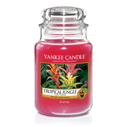 Yankee Candle S1750941 wax candle Round Pink 1 pc(s)