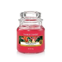 Yankee Candle Tropical Jungle wax candle Round Red 1 pc(s)