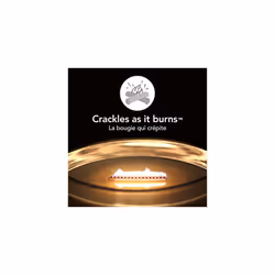 Woodwick Ellipse Scented Candle with Crackling Wick | Sand & Driftwood | Up to 50 Hours Burn Time