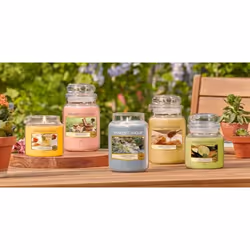 Yankee Candle Roseberry Sorbet wax candle Other Pink 1 pc(s)