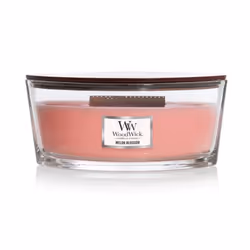 Yankee Candle Melon Blossom, Ellipse, Pink, Cucumber, Melon, Musk, 1 pc(s)