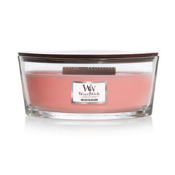 Yankee Candle Melon Blossom wax candle Ellipse Cucumber, Melon, Musk Pink 1 pc(s)