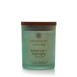 Chesapeake Bay Balance & Harmony wax candle Cylinder Green 1 pc(s)