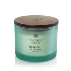 Chesapeake Bay Balance & Harmony wax candle Round Green 1 pc(s)