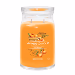 Yankee Candle Signature, Cylinder, Orange, Apricot, Peach, Vanilla, 90 h, 1 pc(s)