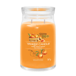 Yankee Candle Signature wax candle Cylinder Apricot, Peach, Vanilla Orange 1 pc(s)