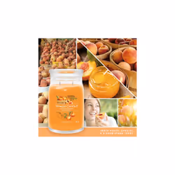 Yankee Candle Signature wax candle Cylinder Apricot, Peach, Vanilla Orange 1 pc(s)
