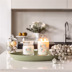 Yankee Candle White Spruce & Grapefruit wax candle Cylinder 1 pc(s)