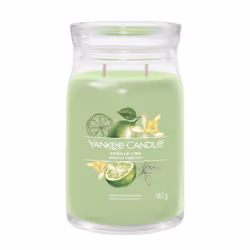 Yankee Candle Signature, Cylinder, Green, Lime, Vanilla, 90 h, 1 pc(s)