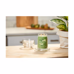 Yankee Candle Signature wax candle Cylinder Lime, Vanilla Green 1 pc(s)