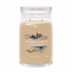 Yankee Candle Amber & Sandalwood, Cylinder, Brown, Spice, 90 h, 1 pc(s)