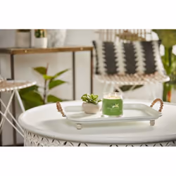 Yankee Candle Vanilla Lime wax candle Round Cane sugar, Lime, Vanilla Green 1 pc(s)