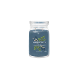 Yankee Candle Bayside Cedar wax candle Cylinder Fresh Blue 1 pc(s)