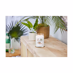 Yankee Candle Signature wax candle Cylinder Coconut, Pineapple, Vanilla White 1 pc(s)