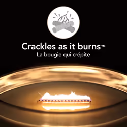Ellipse Scented Candle with Crackling Wick | Pressed Blooms & Patchouli | Up to 50 Hours Burn Time 1632429E