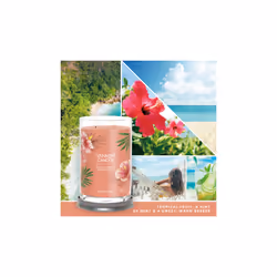 Yankee Candle Signature wax candle Cylinder Guava, Mint Orange 1 pc(s)