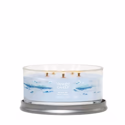Yankee Candle Ocean Air wax candle Round Amber, Jasmine, Sandalwood Blue 1 pc(s)