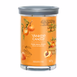 Yankee Candle Signature, Cylinder, Orange, Apricot, Peach, Vanilla, 100 h, 1 pc(s)